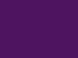 Robison-Anton Rayon - 2381 Dark Purple